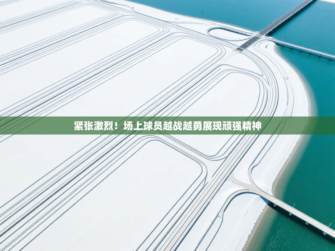紧张激烈!场上球员越战越勇展现顽强精神 紧张激烈!场上球员越战越勇展现顽强精神