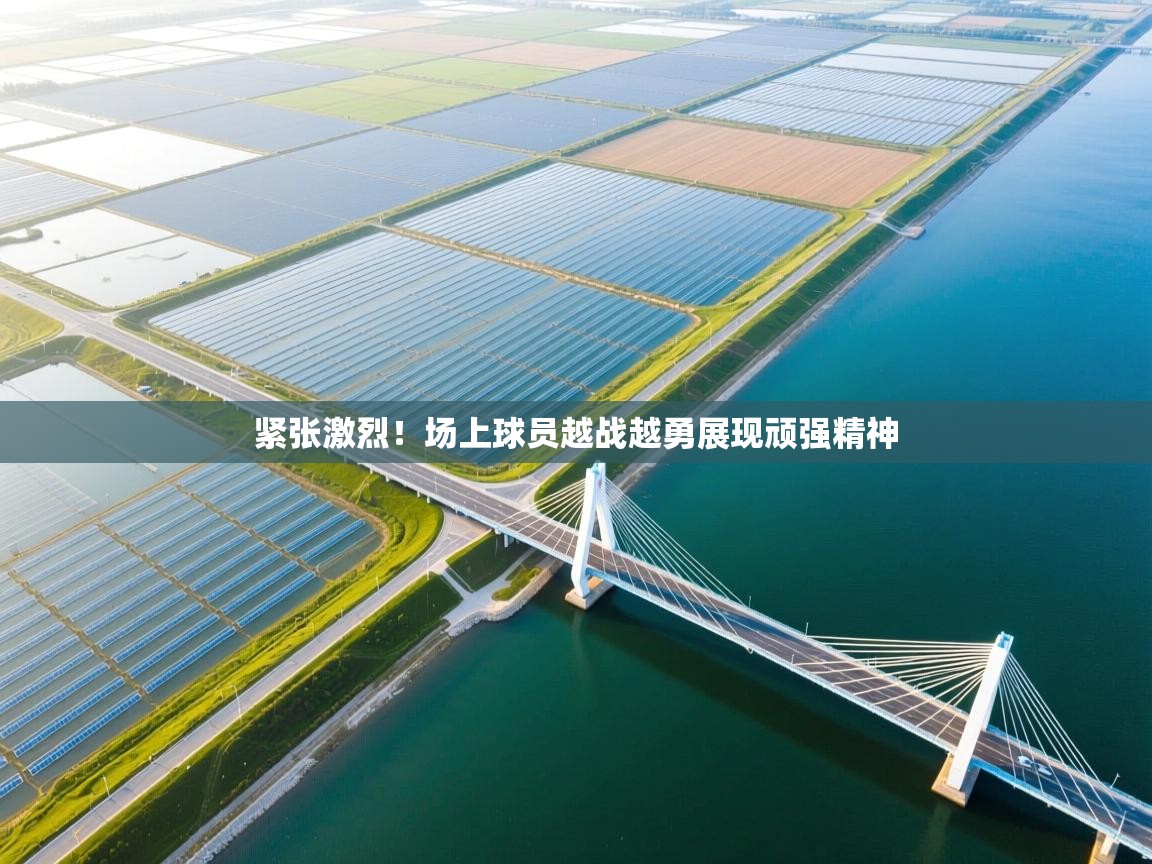 紧张激烈!场上球员越战越勇展现顽强精神 紧张激烈!场上球员越战越勇展现顽强精神