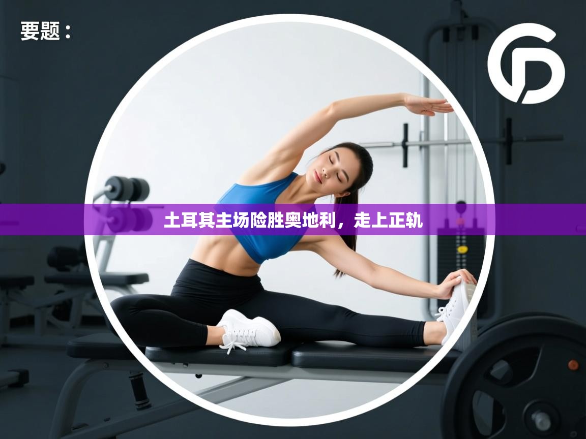 土耳其主场险胜奥地利，走上正轨