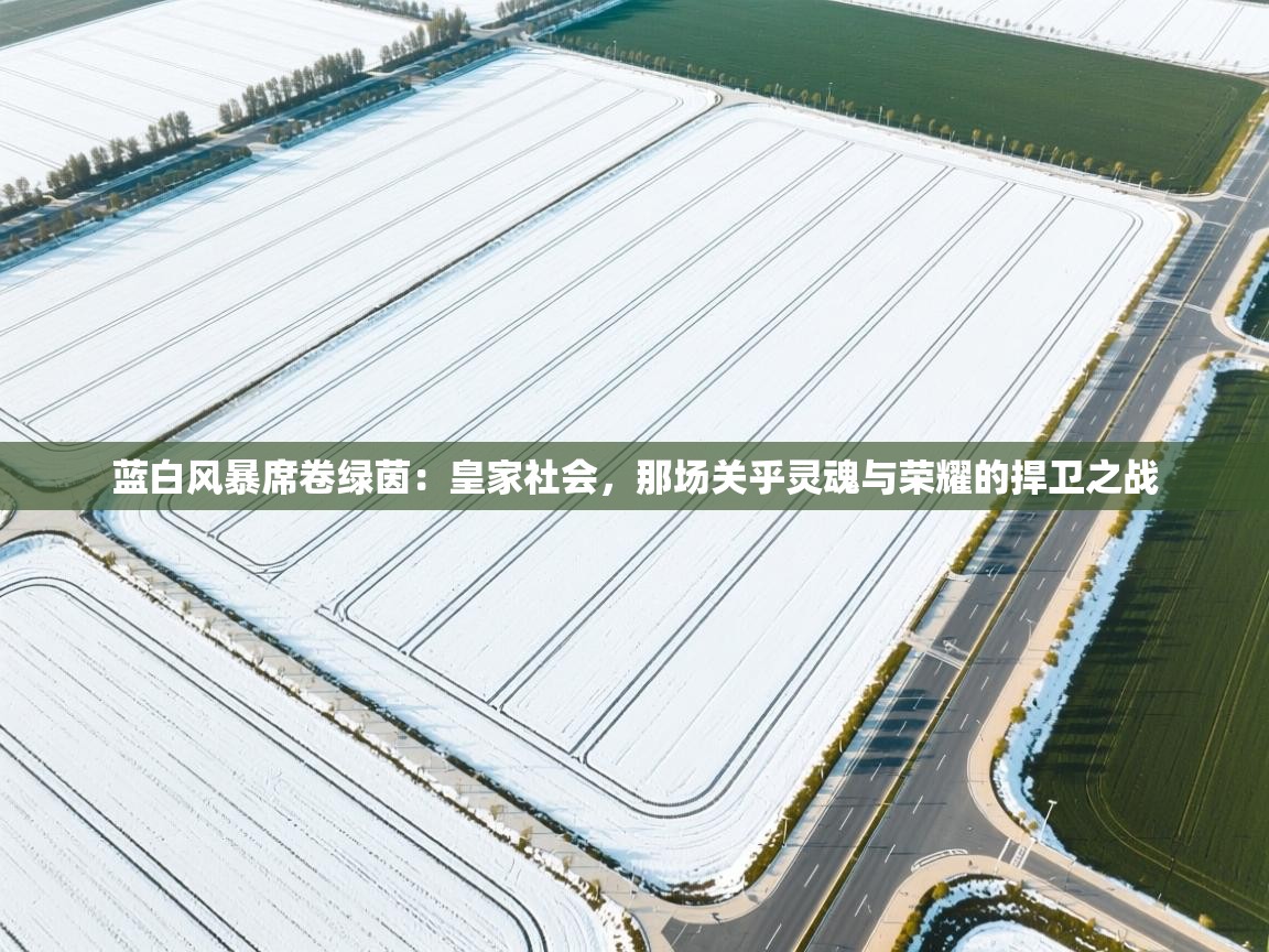 蓝白风暴席卷绿茵：皇家社会，那场关乎灵魂与荣耀的捍卫之战