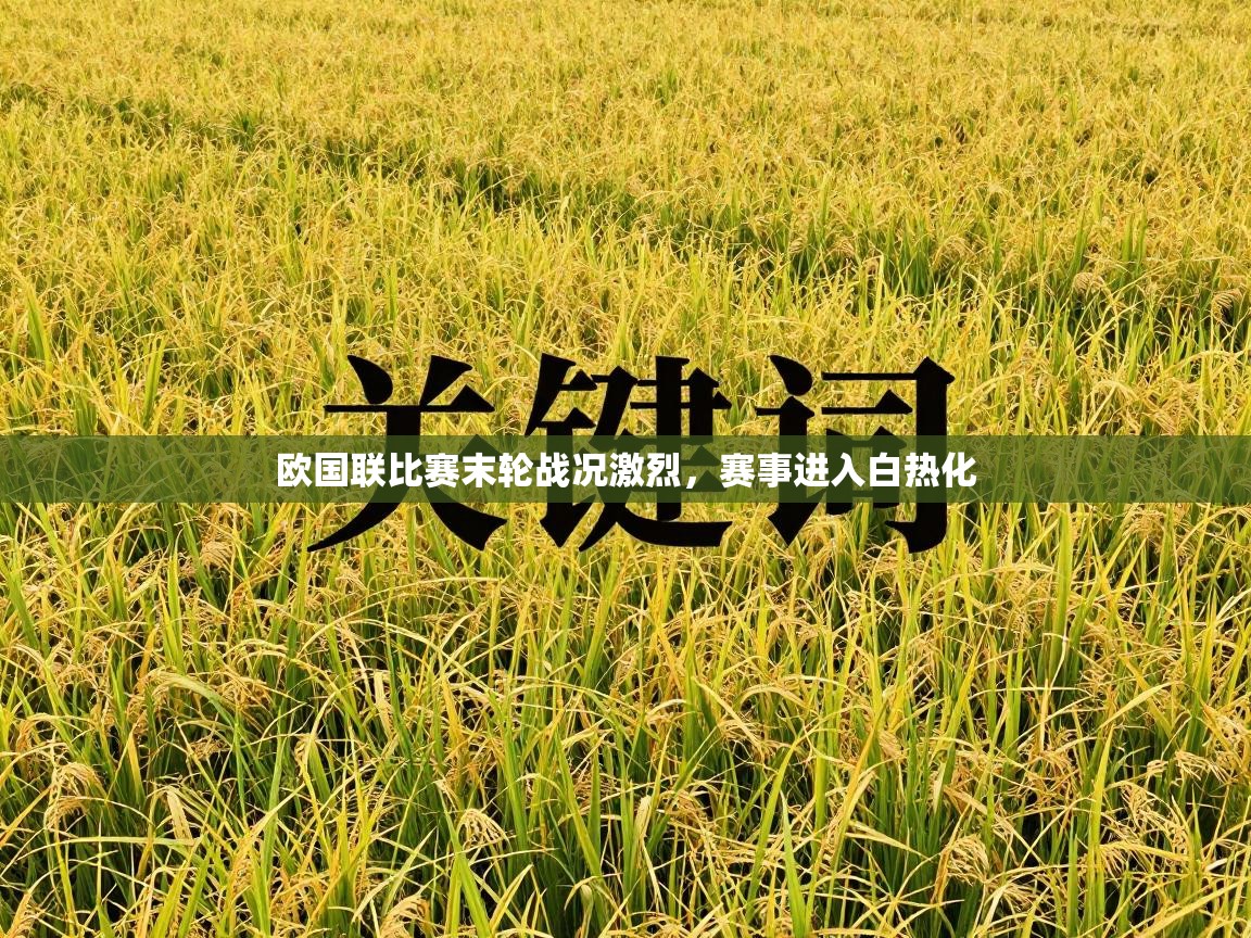 欧国联比赛末轮战况激烈，赛事进入白热化